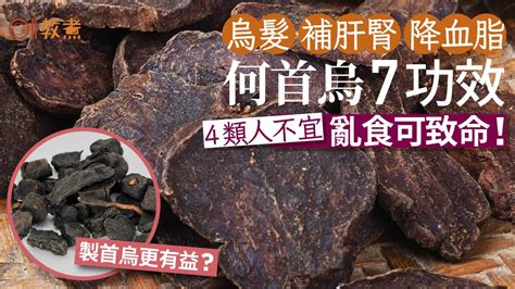 何首烏雞湯禁忌|何首烏功效｜黑髮補肝腎7好處製首烏更有益？4類人不 